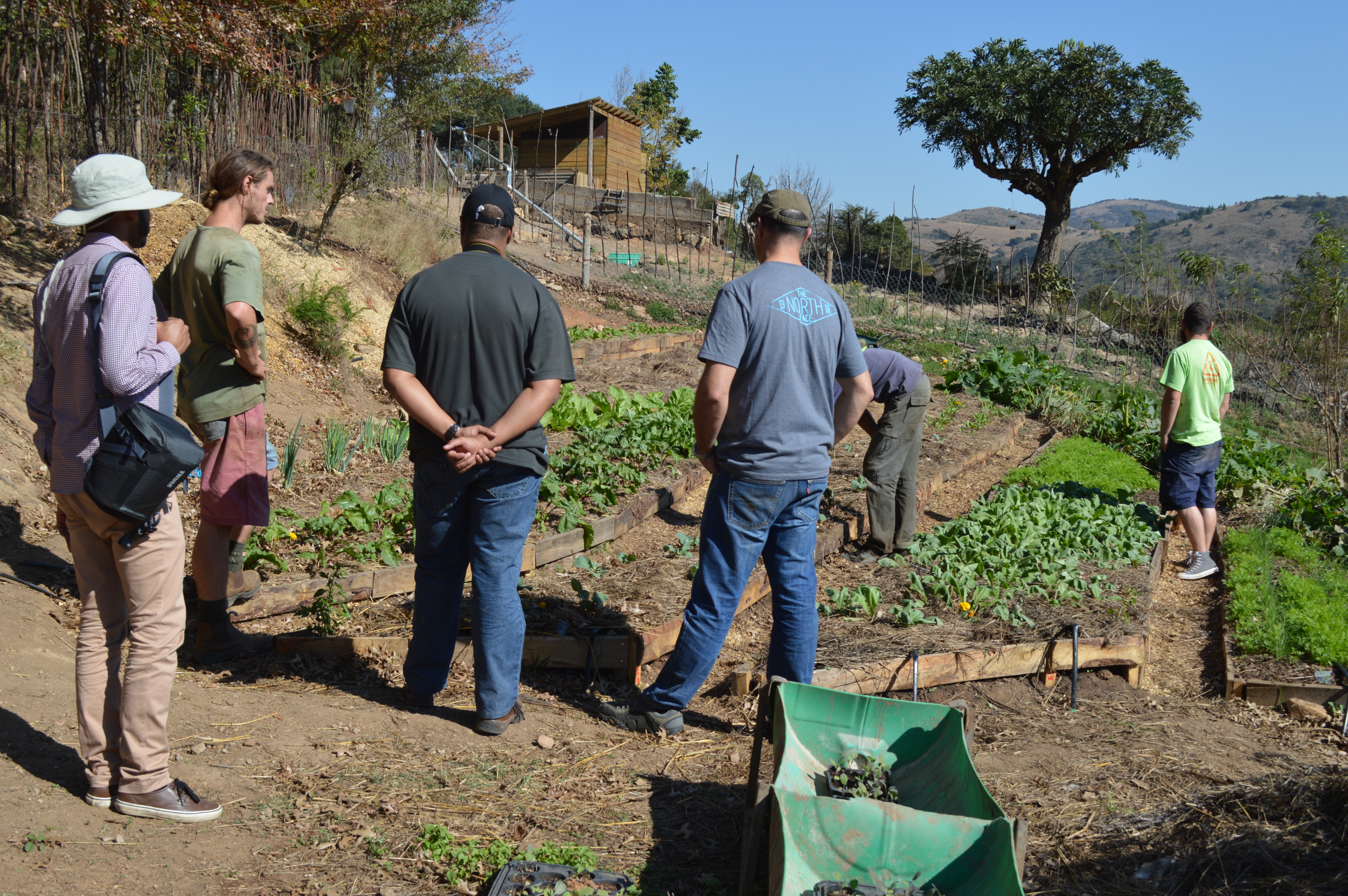 Community sustainability workshop