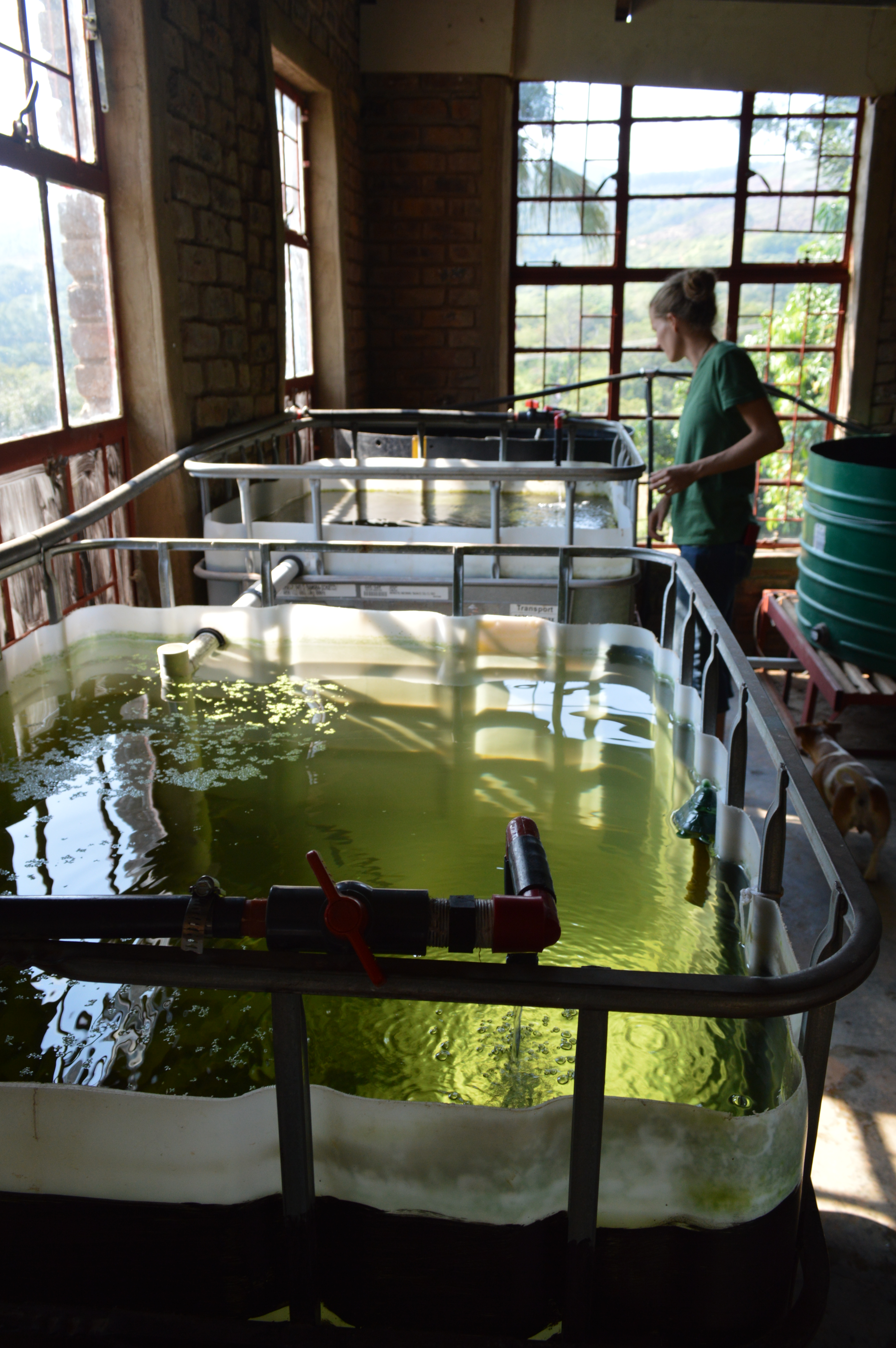 Conservation and restoration area